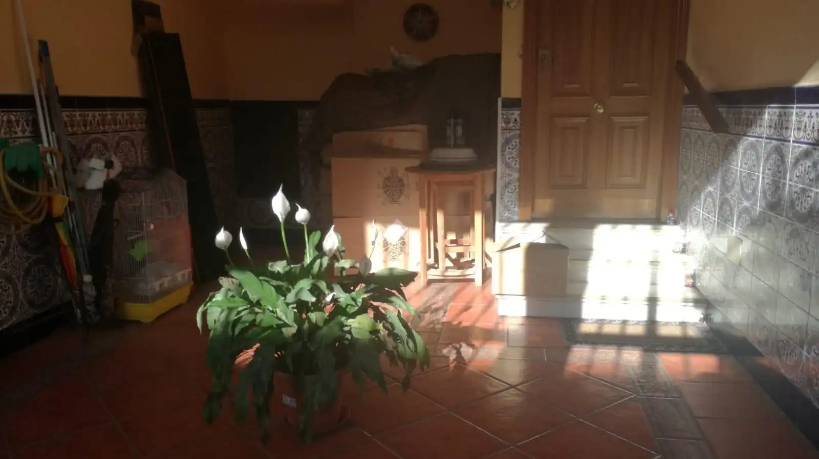 Casa en venta en Poniente-Sur, imagen 14