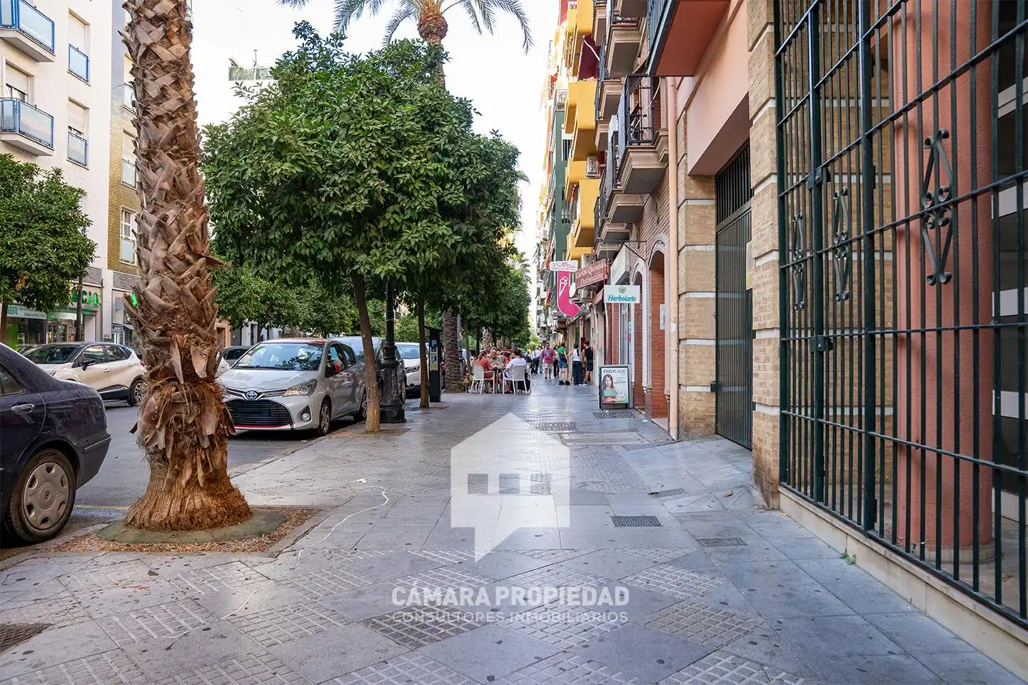 Locale commerciale in vendita a Calle la Palma, imagen 30
