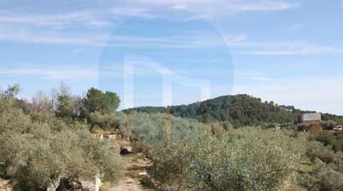 Finca Rustica con Almacén agrícola, imatge 5