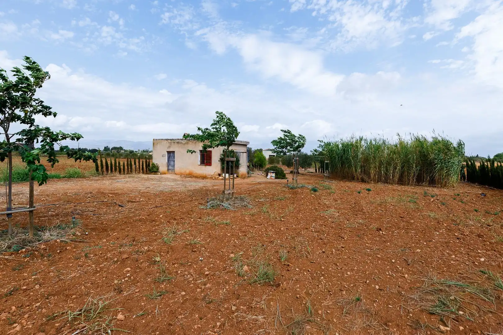 Terreny rústic en venda a Santa Eugènia, imagen 4