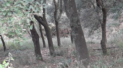 Photo 5 of Land for sale in Carrer Serpentina, 58, Les Planes, Barcelona