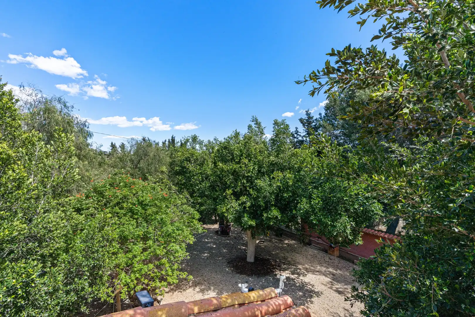 Jardí de Casa o xalet en venda en Elche / Elx amb Aire condicionat, Jardí privat i Terrassa