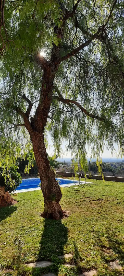 Vista exterior de Casa o xalet en venda en Puçol amb Calefacció, Jardí privat i Terrassa