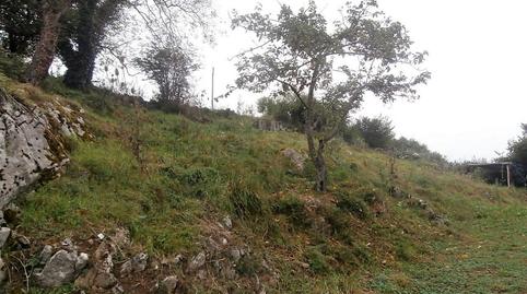 Photo 5 of House or chalet for sale in Grado, Asturias