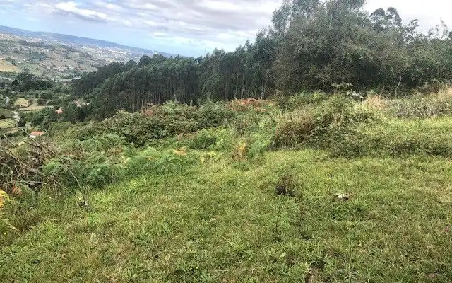 Terreno rustico in vendita a Camino DE LOS CIERROS-CALDONES, imagen 14