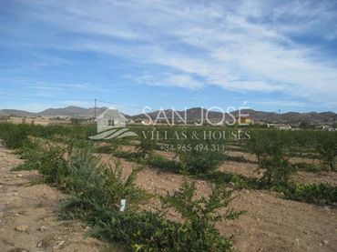 Terreno rustico in vendita a Aspe Centro
