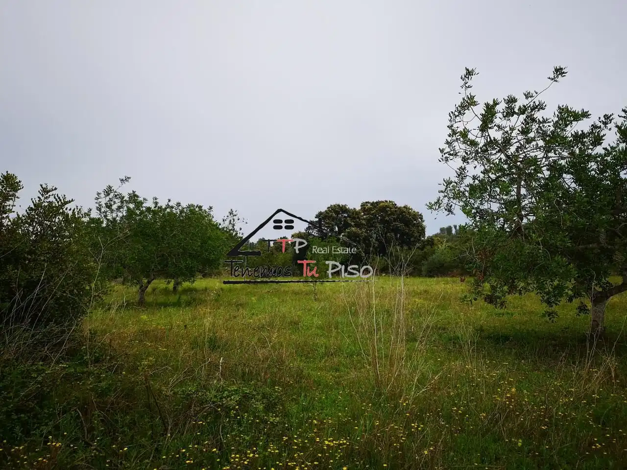 Rural land for sale in POLIGONO 9 PARCELLA 64, imagen 3
