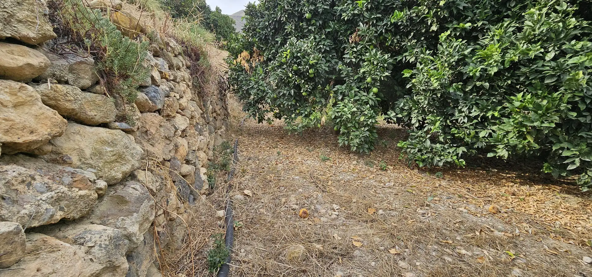 Residencial en venda en Íllar