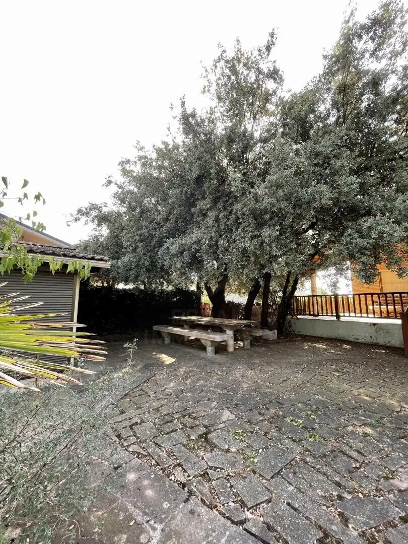 Jardí de Casa o xalet en venda en Castellnou de Bages