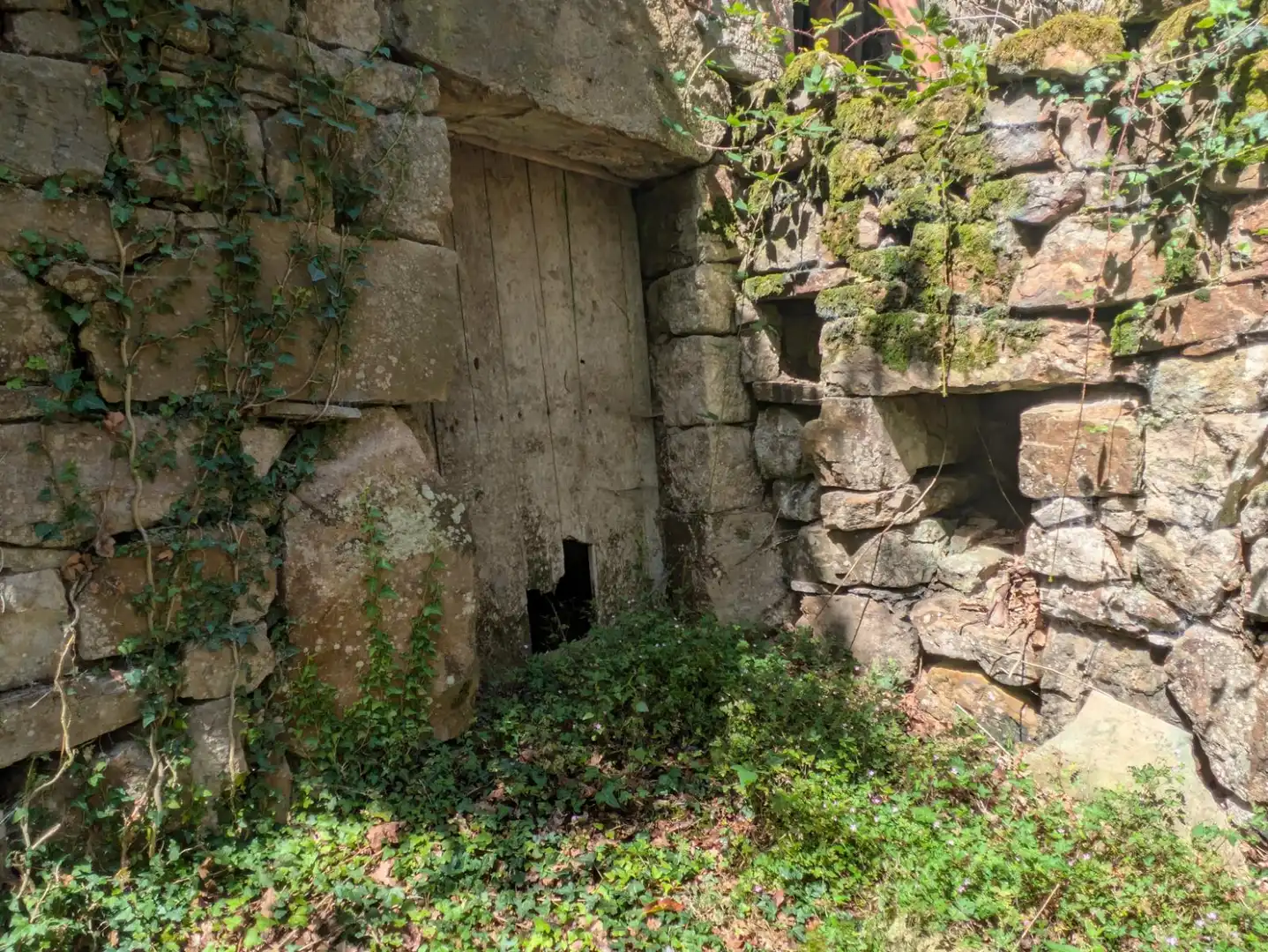 Geschaftsraum zum Verkauf in Vega de Pas