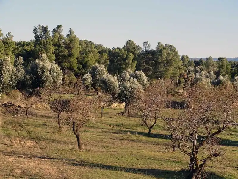 Casa rústica en venda a Torre del Compte, imagen 6