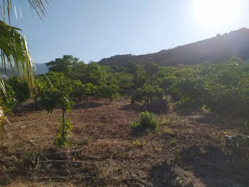 Rural land for sale in Calle de la Molineta 25, imagen 9