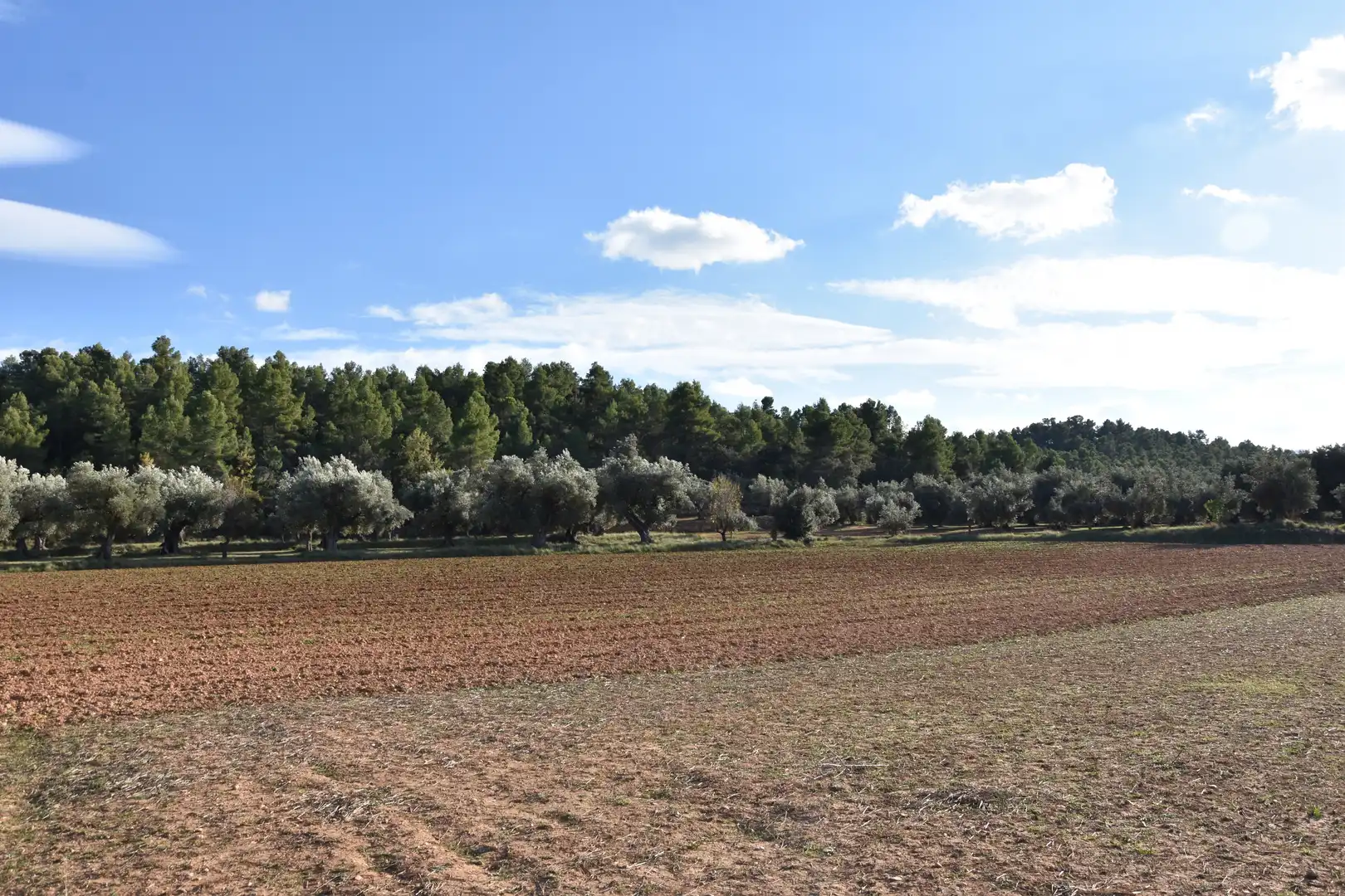 Terreny rústic en venda a Arnes, imagen 4