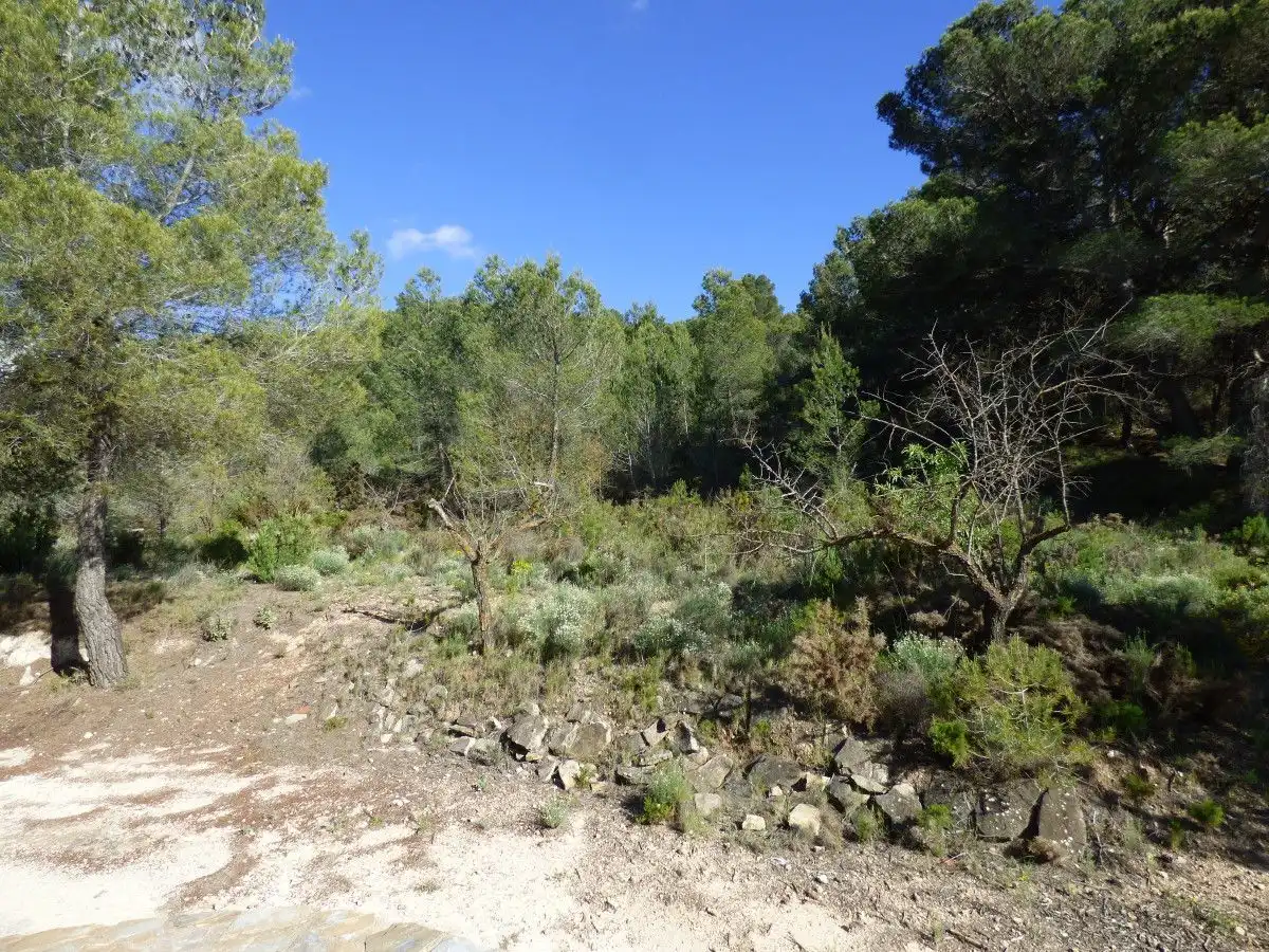 Casa o xalet en venda en Torremanzanas / La Torre de les Maçanes amb Jardí privat i Terrassa