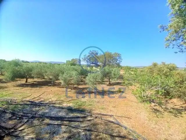 Rural land for sale in Fuente Obejuna, imagen 9