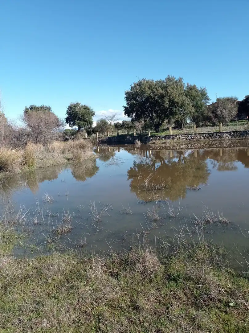 Terreno en venta en Oropesa