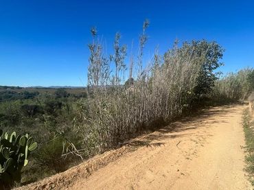 Terreny residencial en venda a El Pla del Penedès