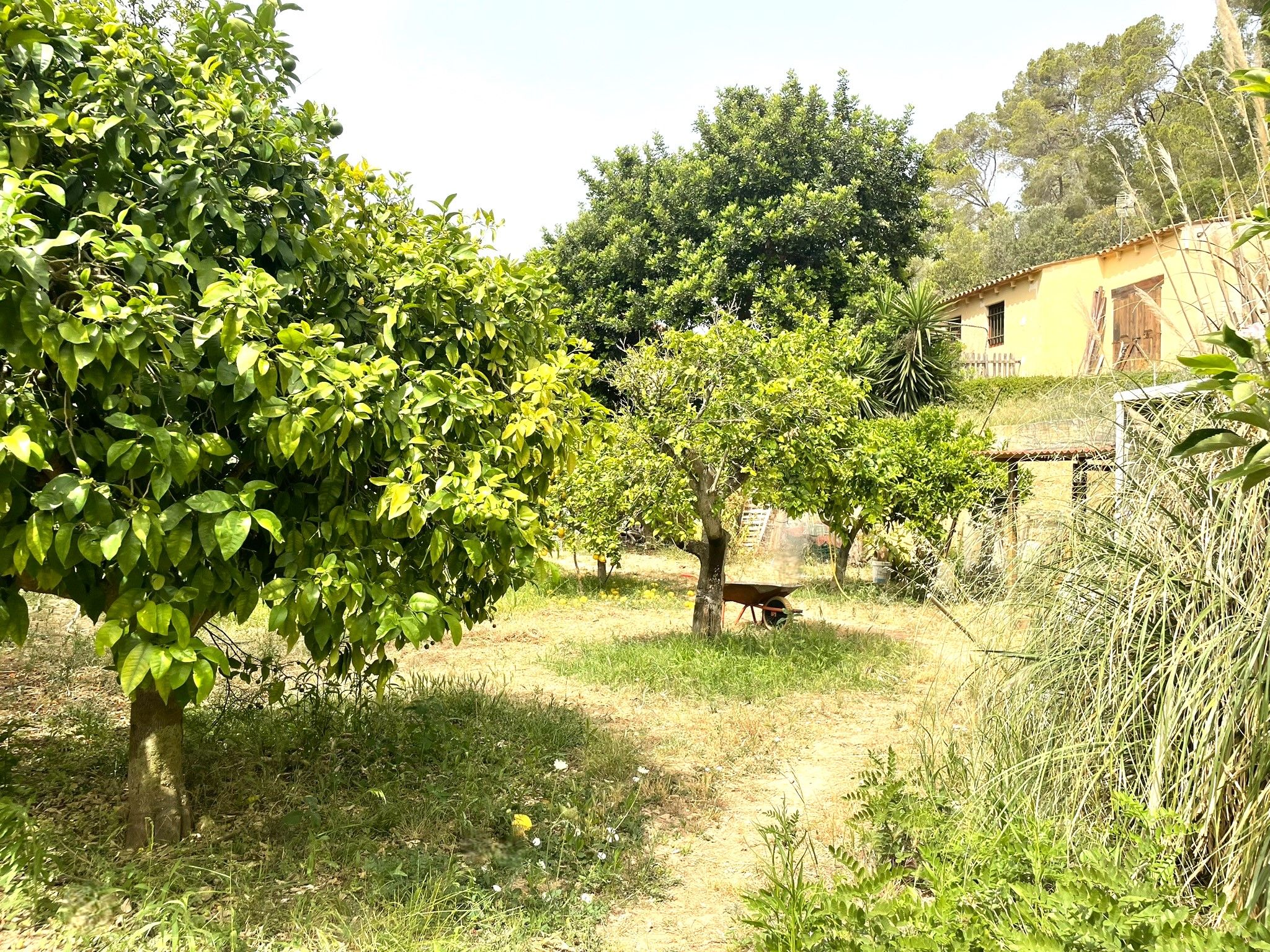 Finca rústica en venda a Carrer Dragonera, Sant Elm