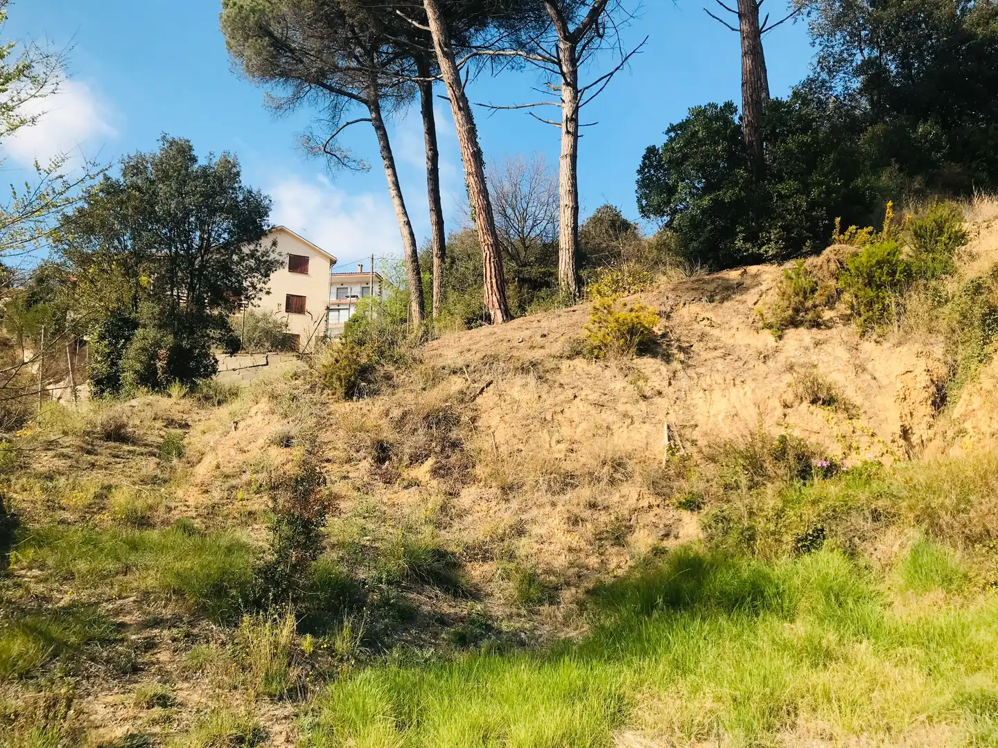 Wohnbaugrundstück zum Verkauf in Carrer de la Noguera 13, imagen 8