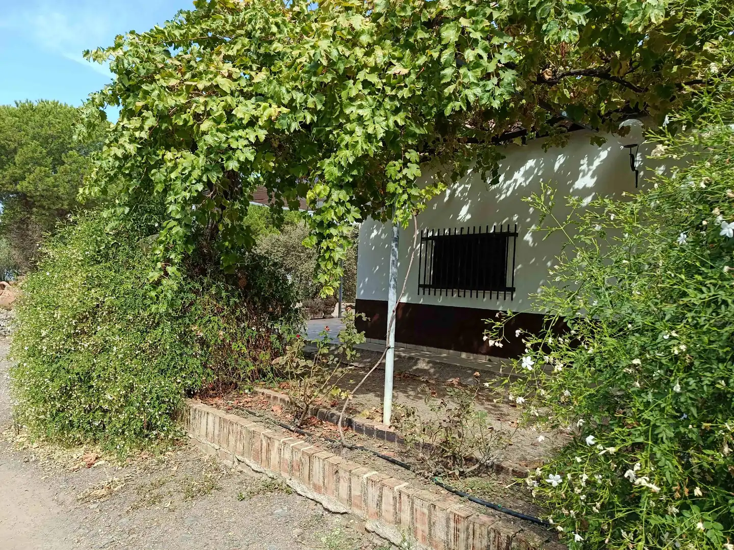 Casa rústica amb piscina en venda a Andújar, imagen 8