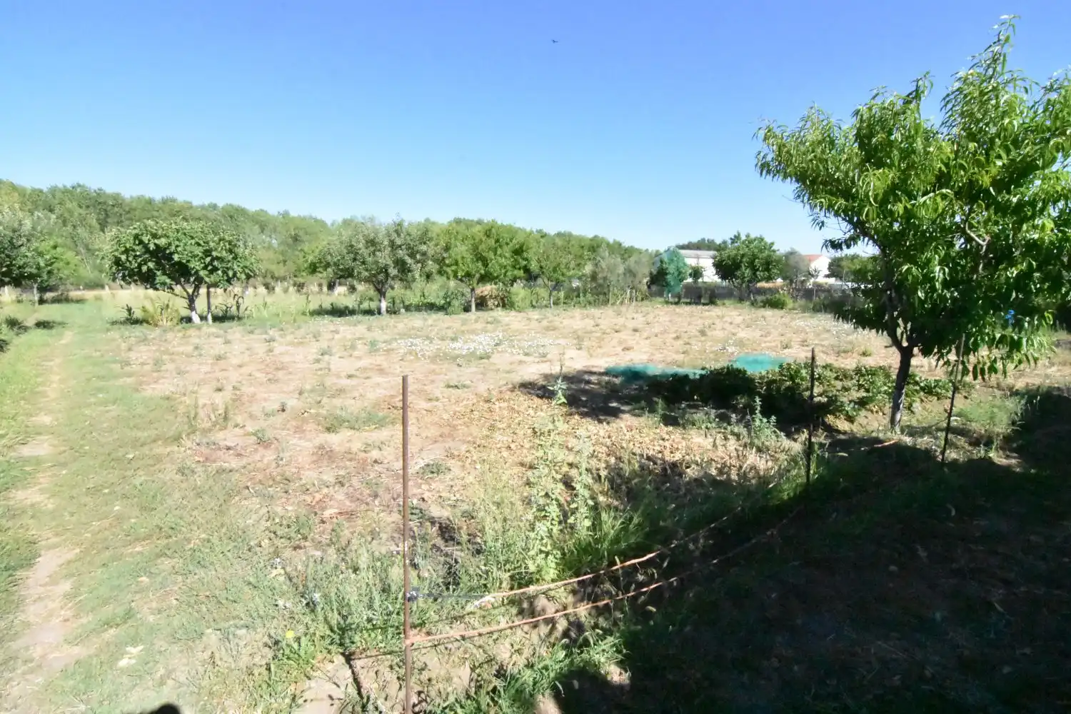Finca rústica en venta en Ciudad Rodrigo