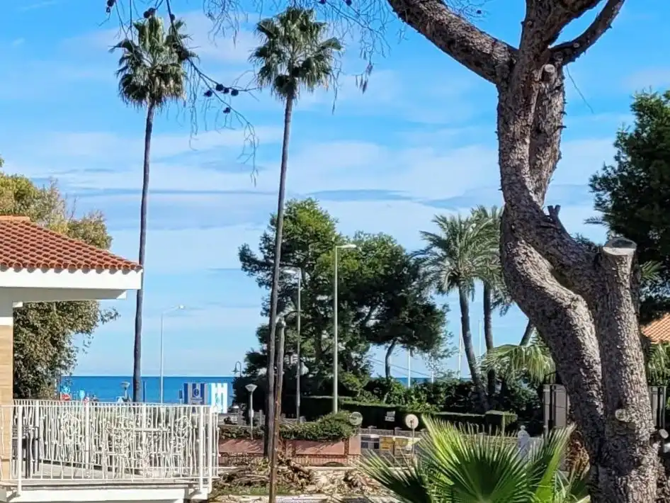 Villa mit Pool zum Verkauf in Carrer Apòstol Santiago 0, imagen 2