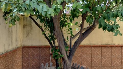 Photo 4 of Single-family semi-detached for sale in El Rocío - La Milagrosa, Jerez de la Frontera