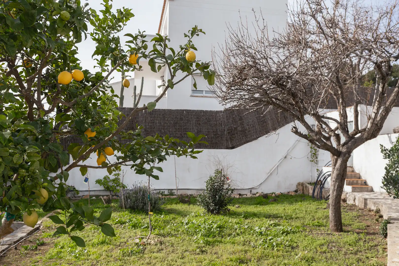Jardí de Casa o xalet en venda en Cunit amb Aire condicionat, Calefacció i Jardí privat