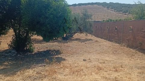Photo 2 of Residential for sale in Jauja, Lucena