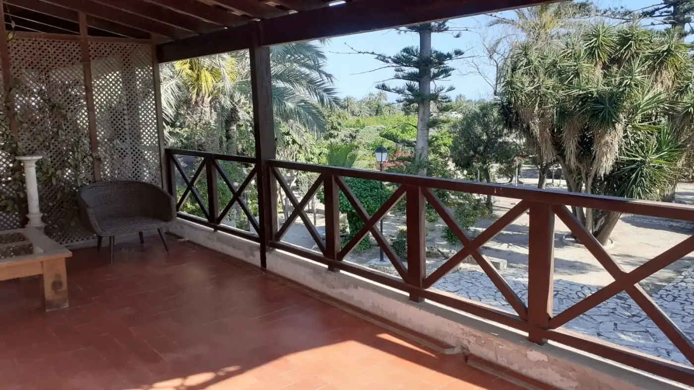 Terrassa de Casa o xalet en venda en Elche / Elx amb Aire condicionat, Jardí privat i Terrassa