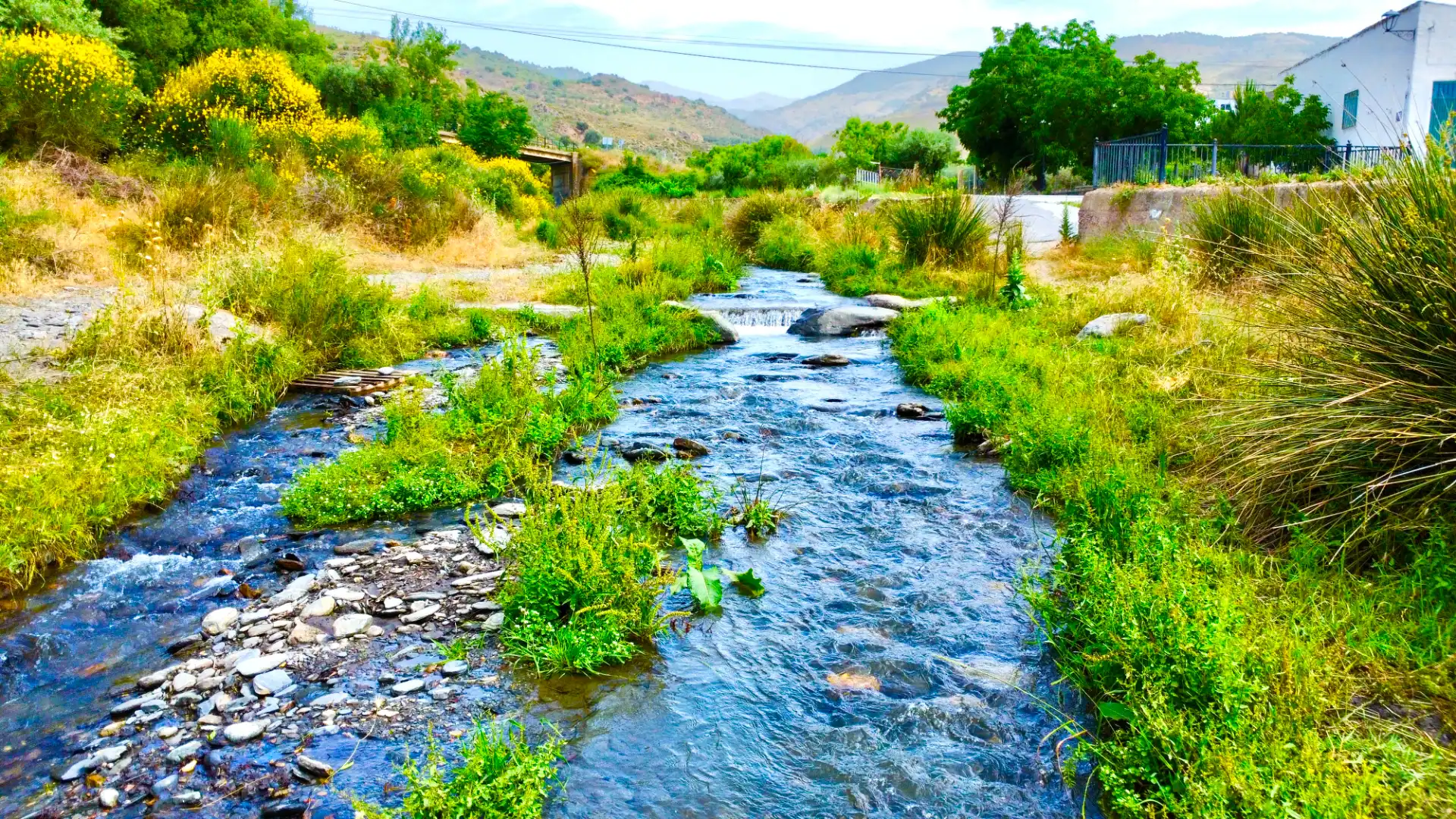 Xalet amb jardí en venda a Calle Castillejo, imagen 50