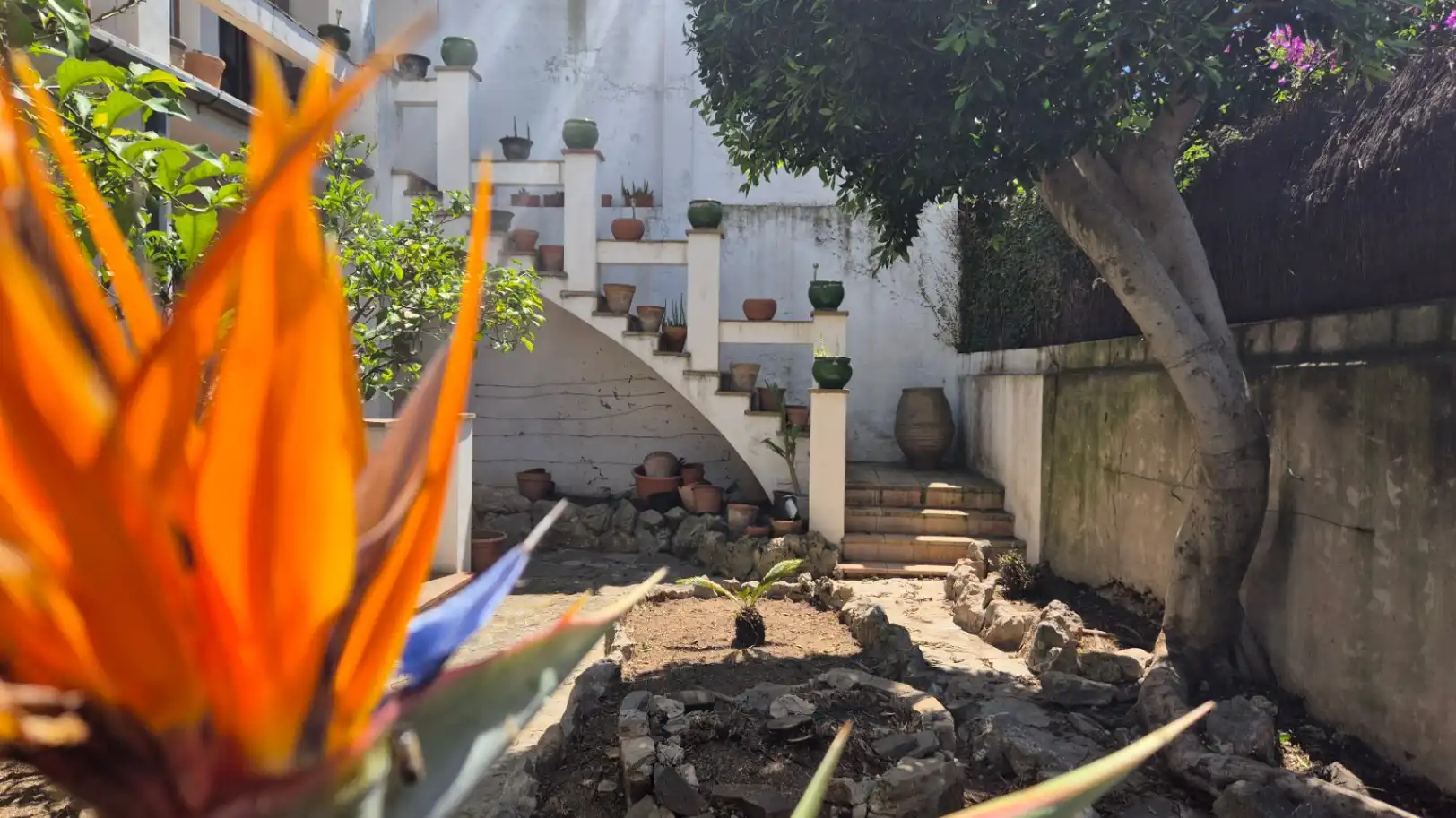 Jardí de Finca rústica en venda en Palafrugell amb Aire condicionat, Calefacció i Jardí privat
