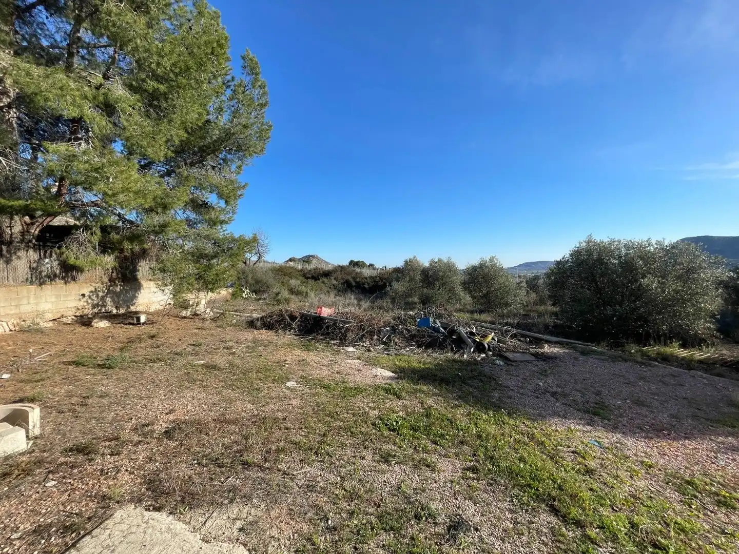Land for sale in Aspe