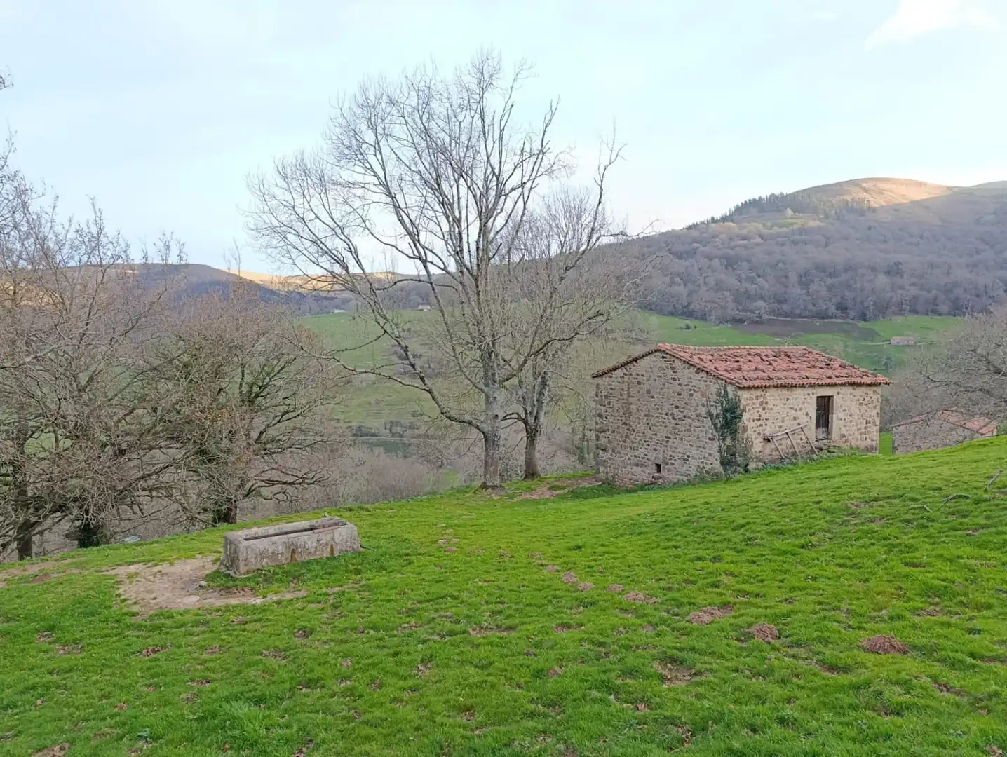 Casa o chalet en venta en Esles - GEIDO POLÍGONO 32 PARCELA 83, Santa María de Cayón