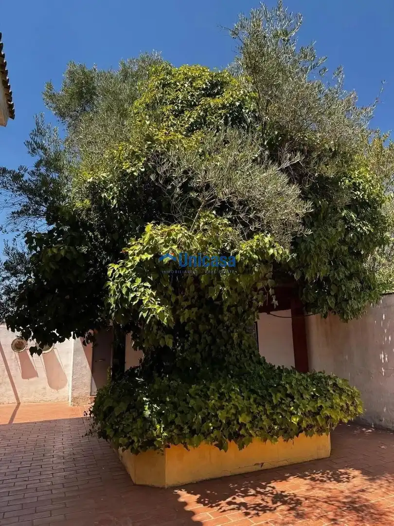 Haus mit Garten zum Verkauf in Calle lopez maldonado, imagen 25