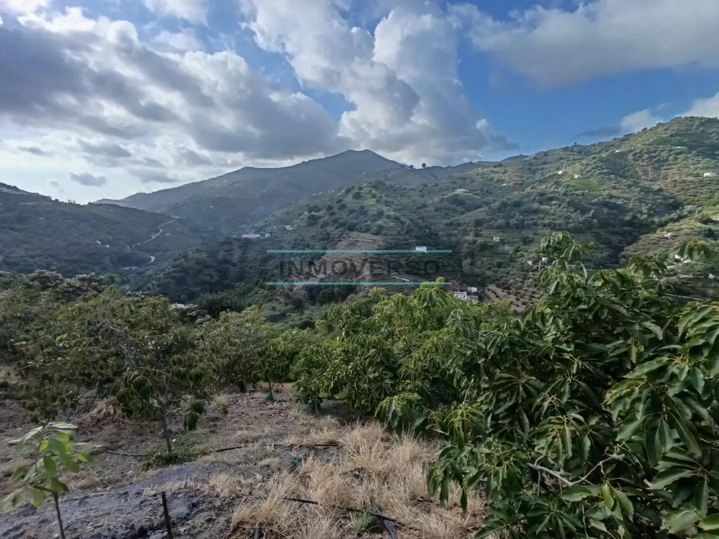 Terreny rústic en venda a Sayalonga
