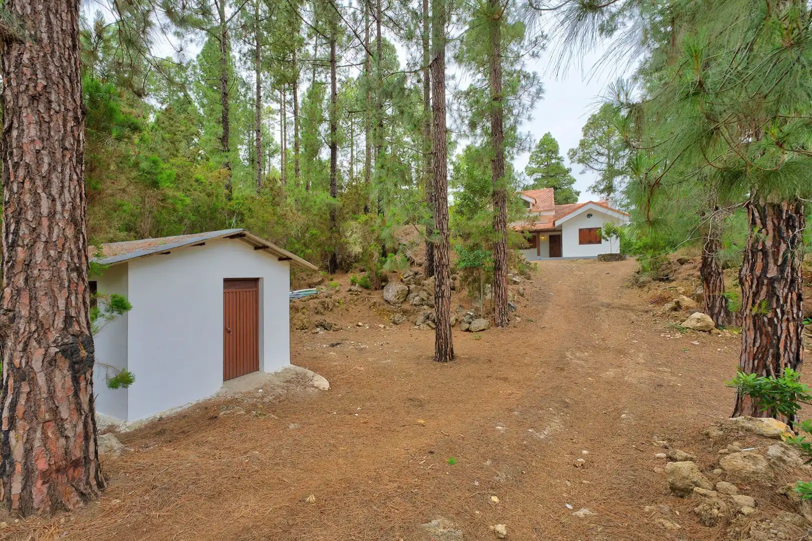 Casa o xalet en venda a La Vega - El Amparo - Cueva del Viento