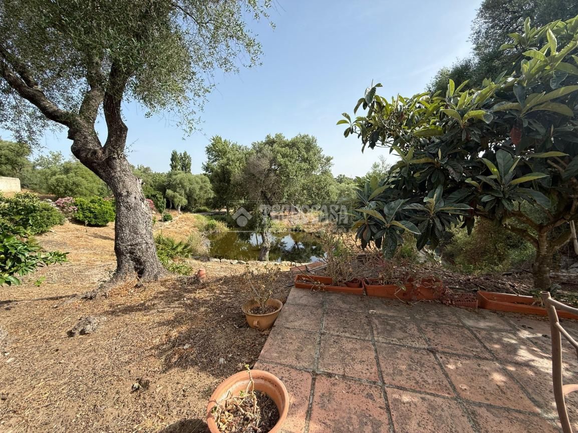 Garden of Land for sale in Medina Sidonia