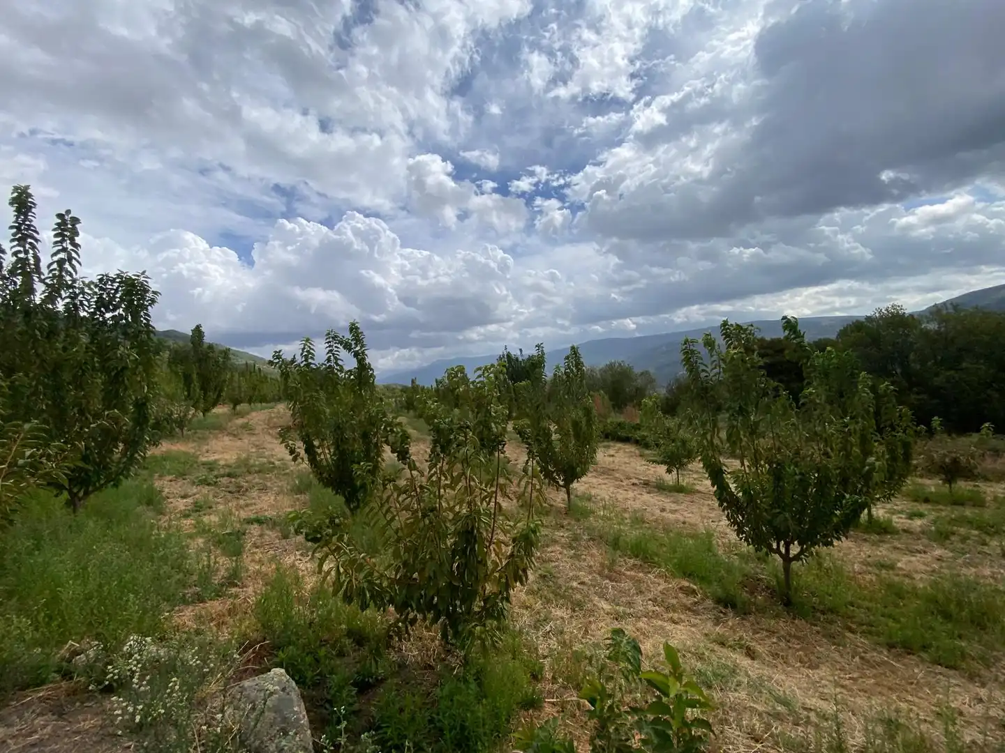 Terrain rustique à vendre à N/A, imagen 21