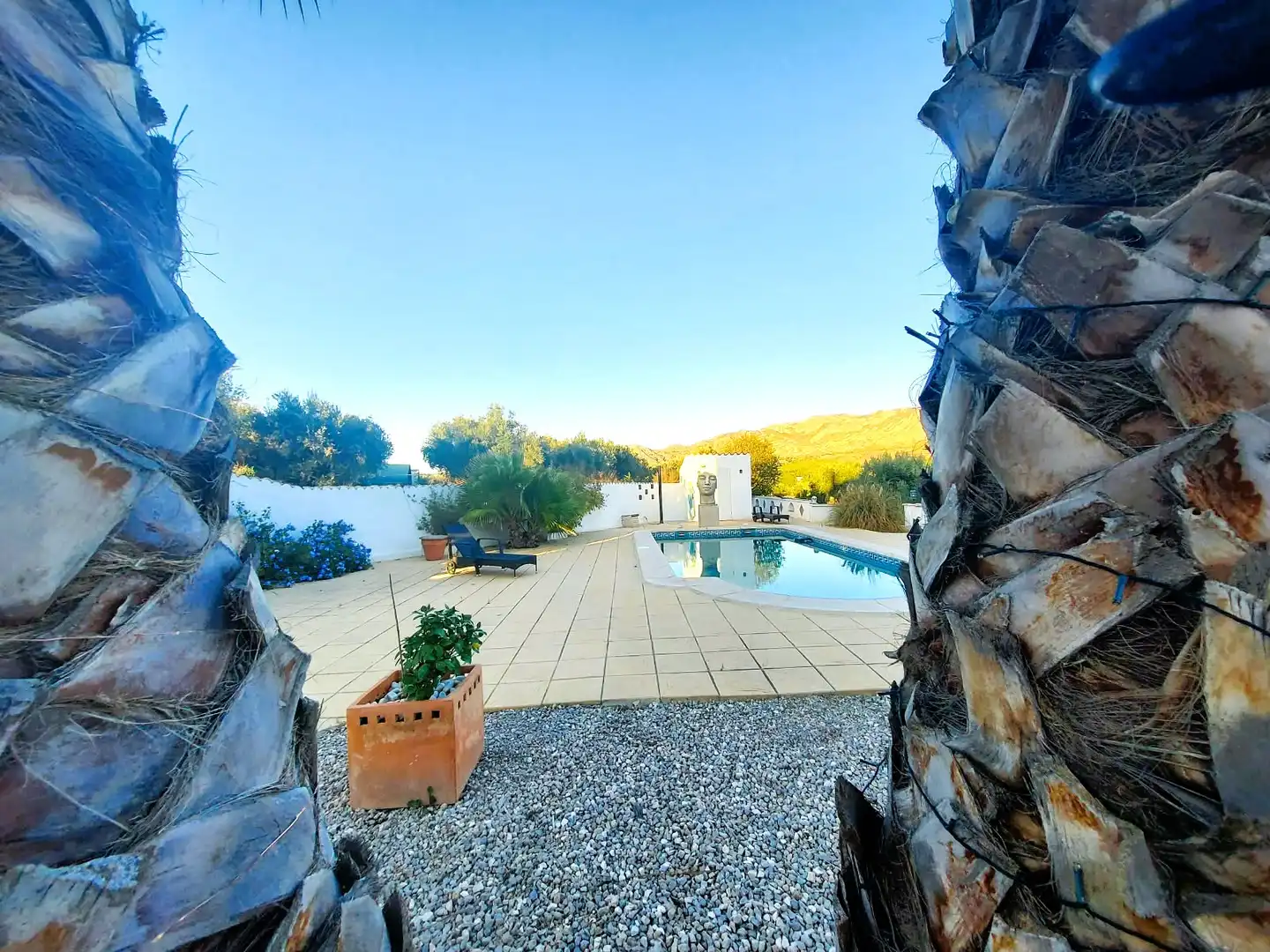 Vista exterior de Casa o chalet en venta en Calasparra con Jardín privado y Piscina