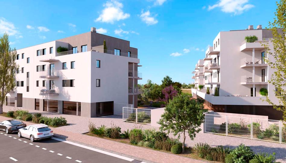 Photo 0 of Promotion ALMAIS SALOU