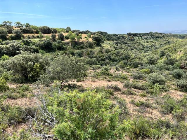 Terreno en Venta en Hoz y Costean