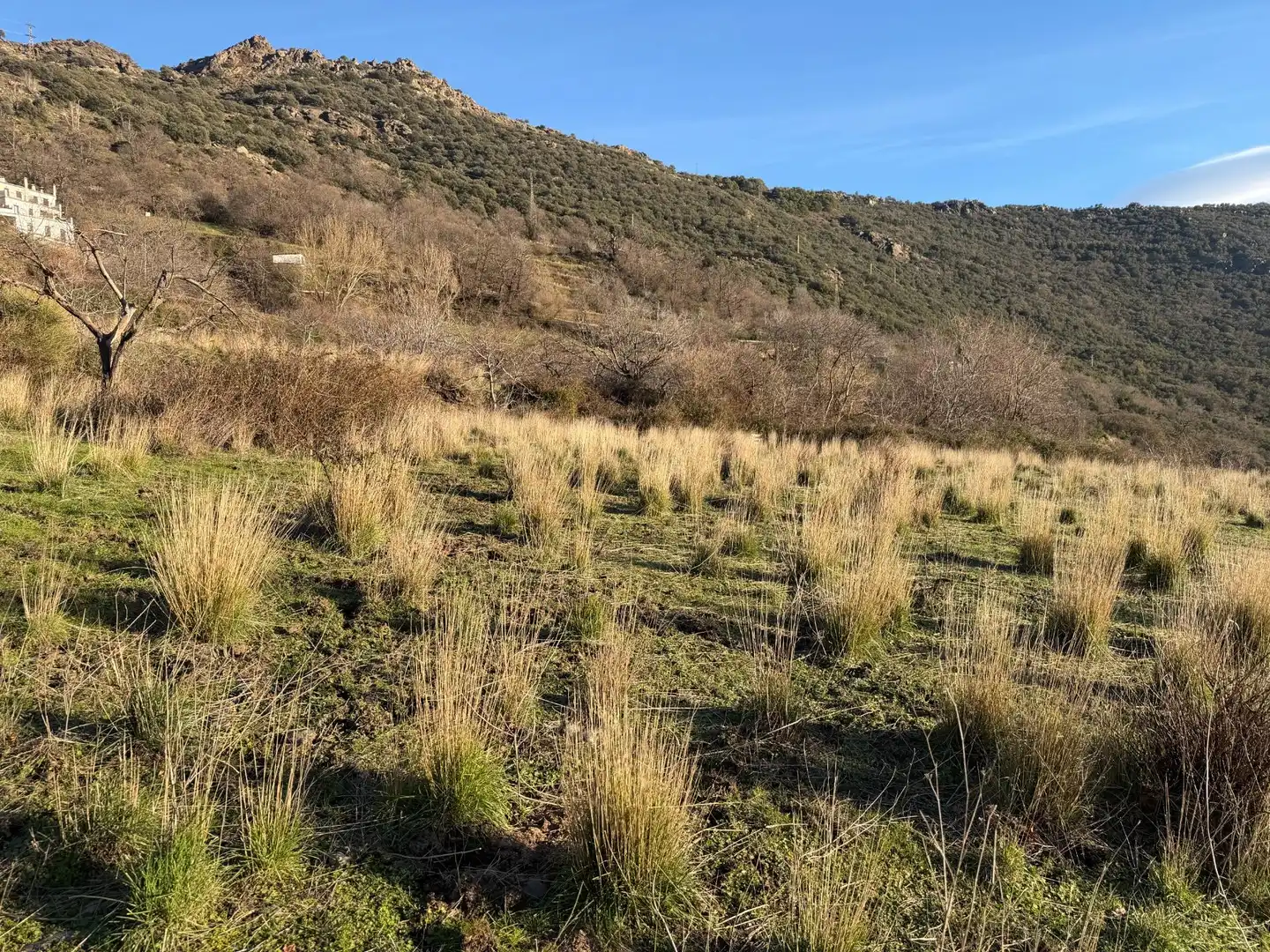 Rural land for sale in Bubión, imagen 4