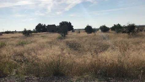 Foto 5 de Terreny en venda a Fosaret( Polígono 11), S/n, Moncófar Pueblo, Moncofa