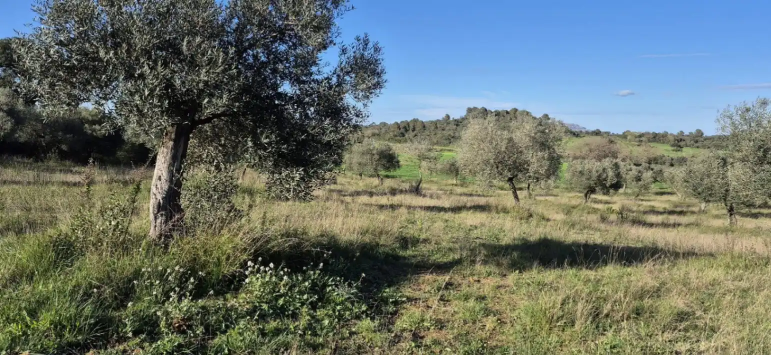 Residencial en venta en Ullastret
