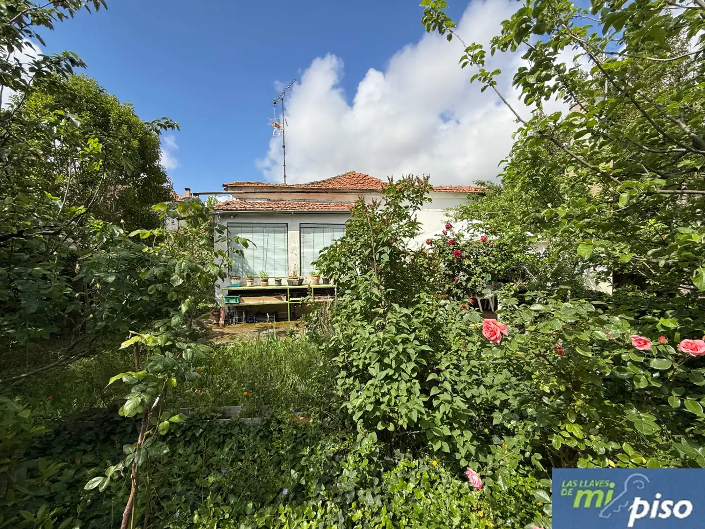 Exterior view of Houses for sale in Valladolid Capital  with Private garden, Parquet flooring and Terrace