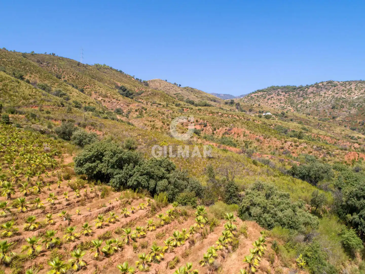 Terreno rustico in vendita a Altos de Estepona, imagen 23