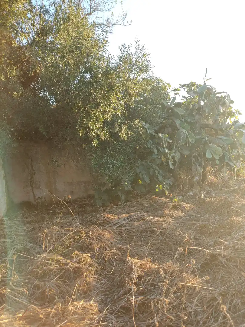 Terreno en venta en Conil de la Frontera