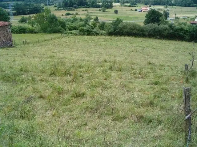 Wohnbaugrundstück zum Verkauf in ARBORIO, imagen 2