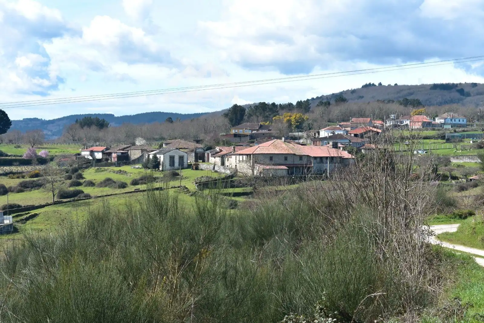 Buildings for sale in Pantón